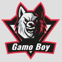 Gamo Boy